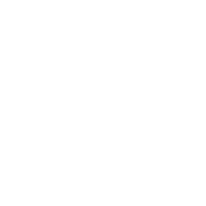 Saruni Basecamp icon wheelchair white