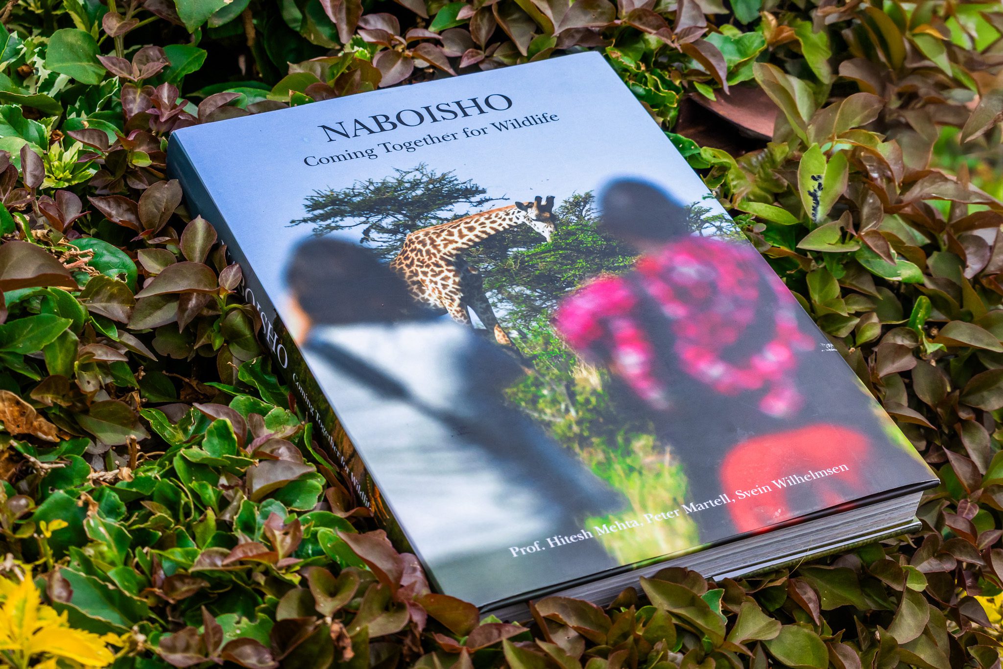 Saruni Basecamp Stories From the Heart of Kenya's Wilderness Naboisho