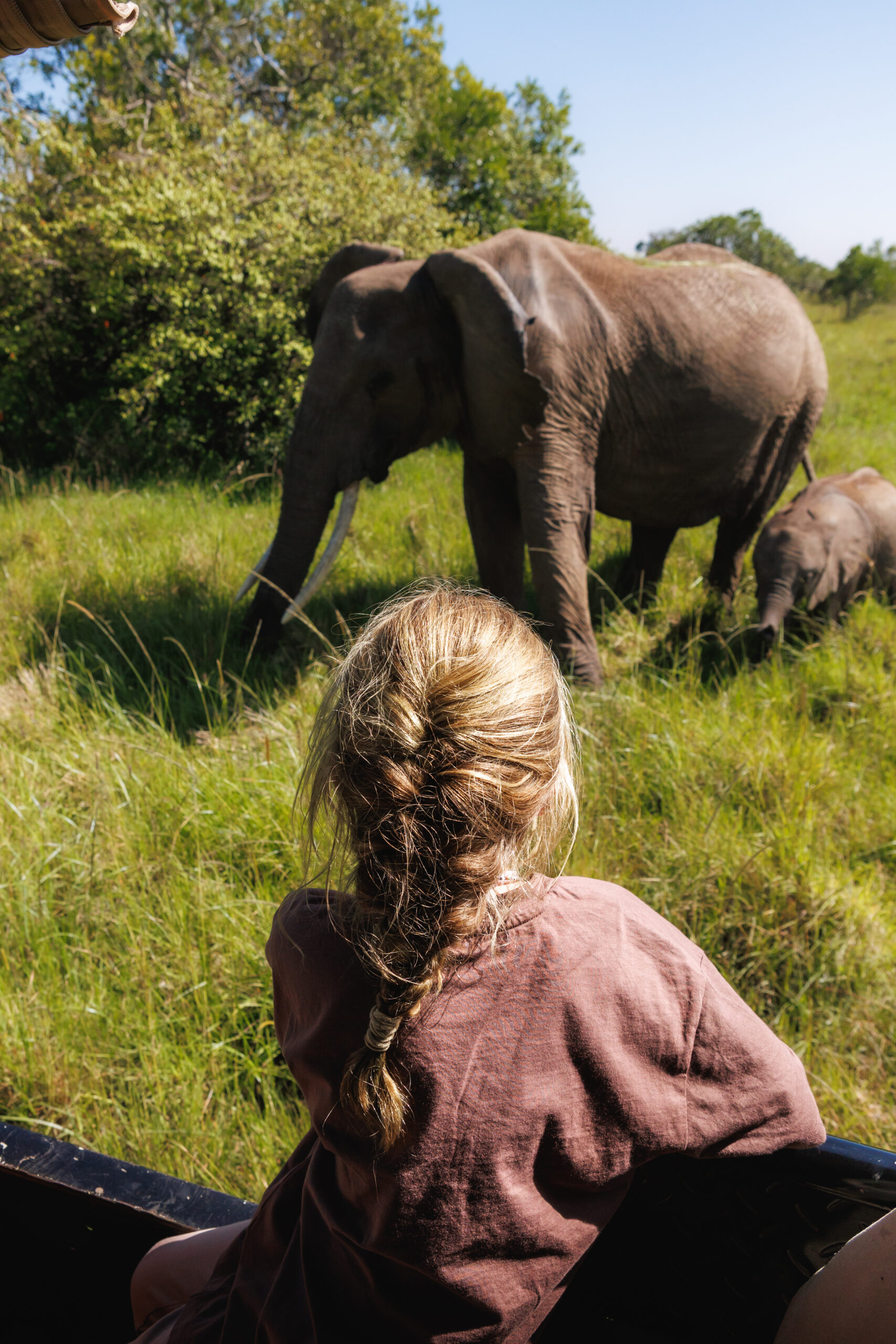 Kid watching elephant on safari