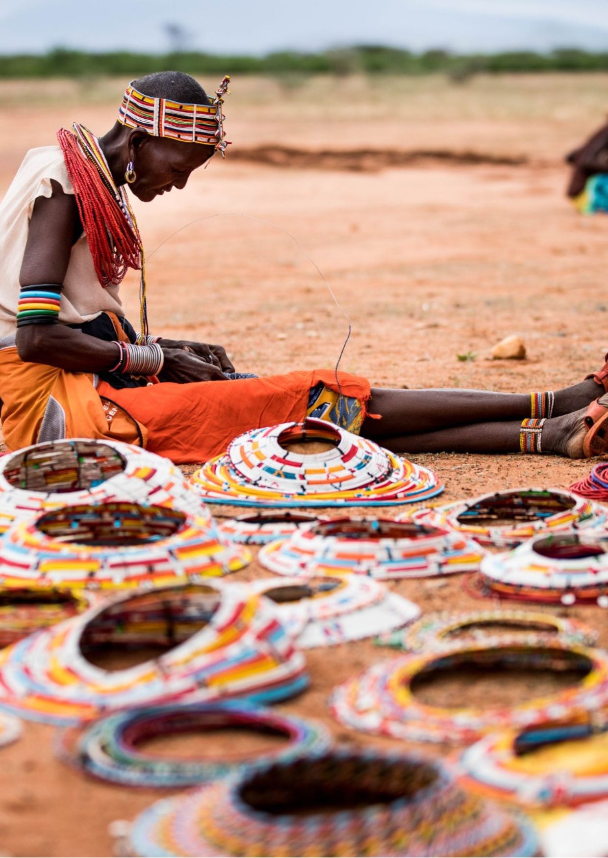 Samburu Carousel ()