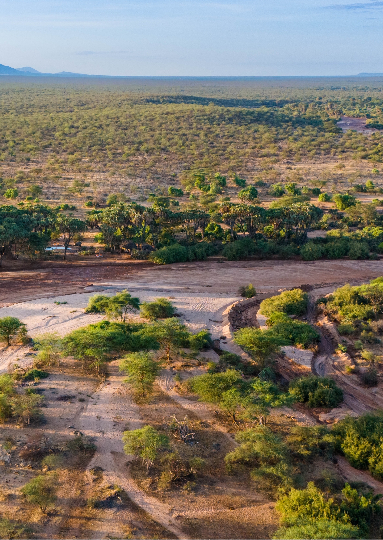 Samburu Carousel ()