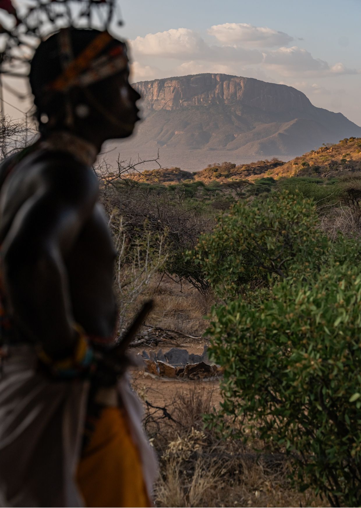 Samburu Carousel