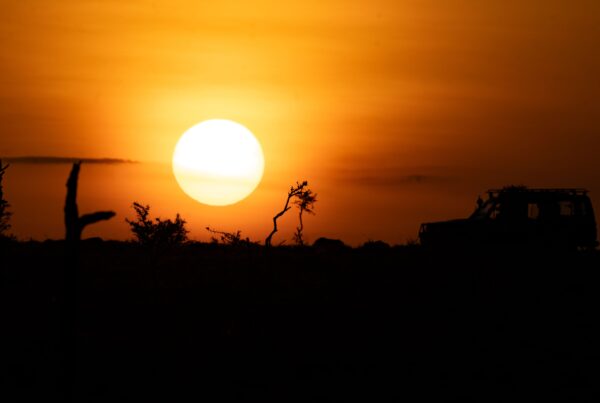 Sunrise at Naboisho conservancy