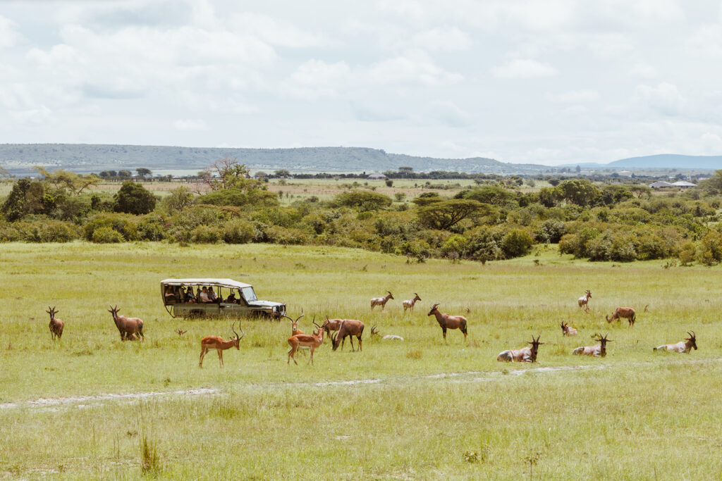 Saruni Basecamp Basecamp Masai Mara Game Drives and Sundowners Saruni Basecamp Basecamp Masai Mara Game Drives and Sundowners