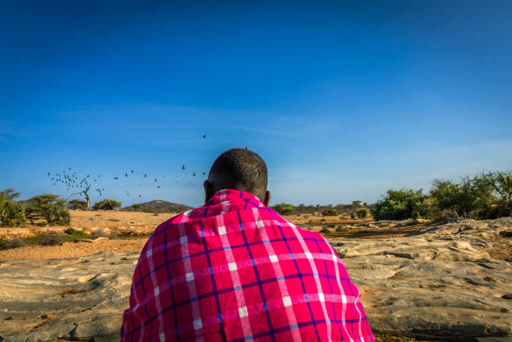 Saruni Basecamp Bird Watching in Samburu Saruni Basecamp Bird Watching in Samburu
