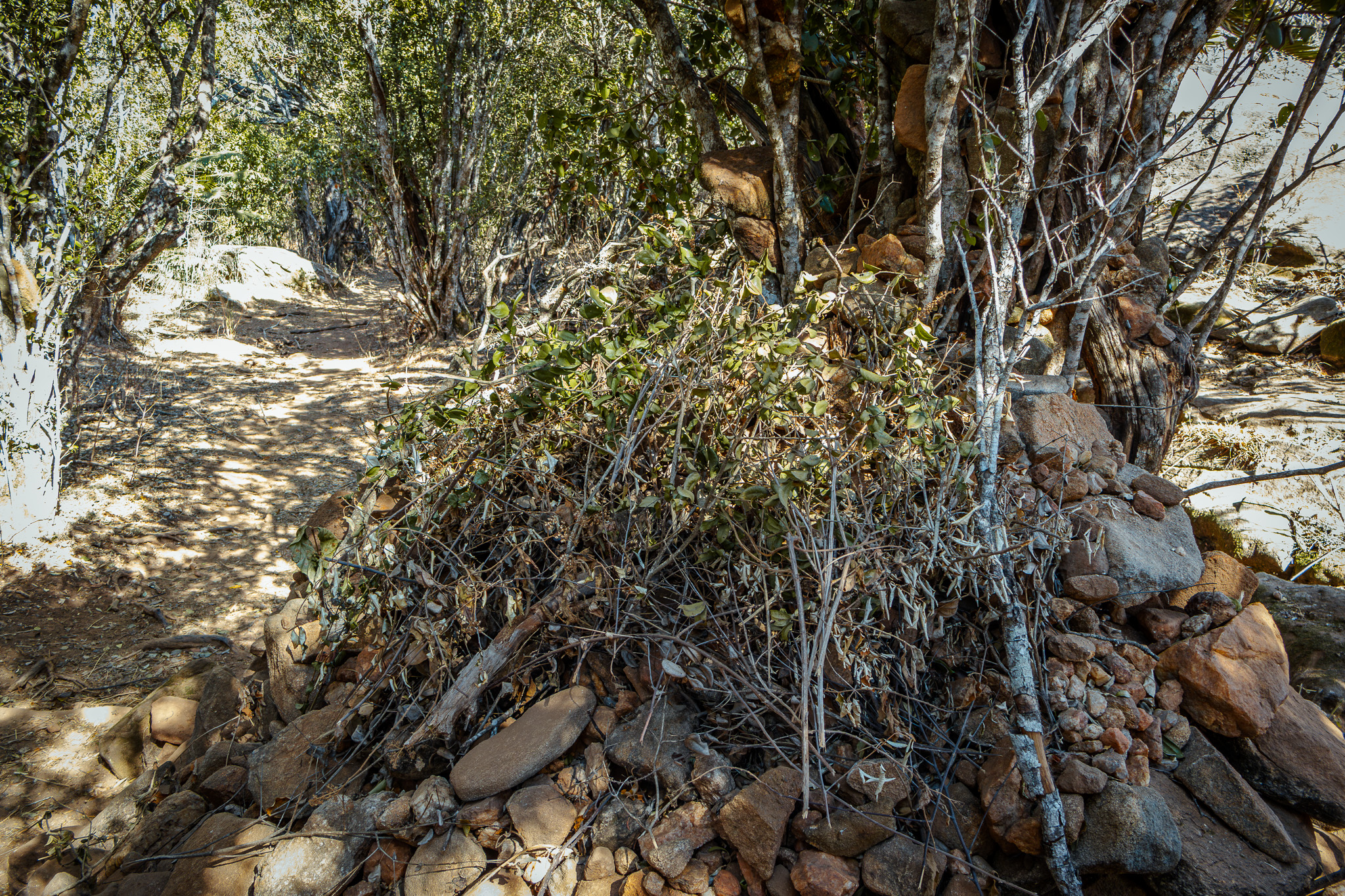 Rock hill in Ololokwe