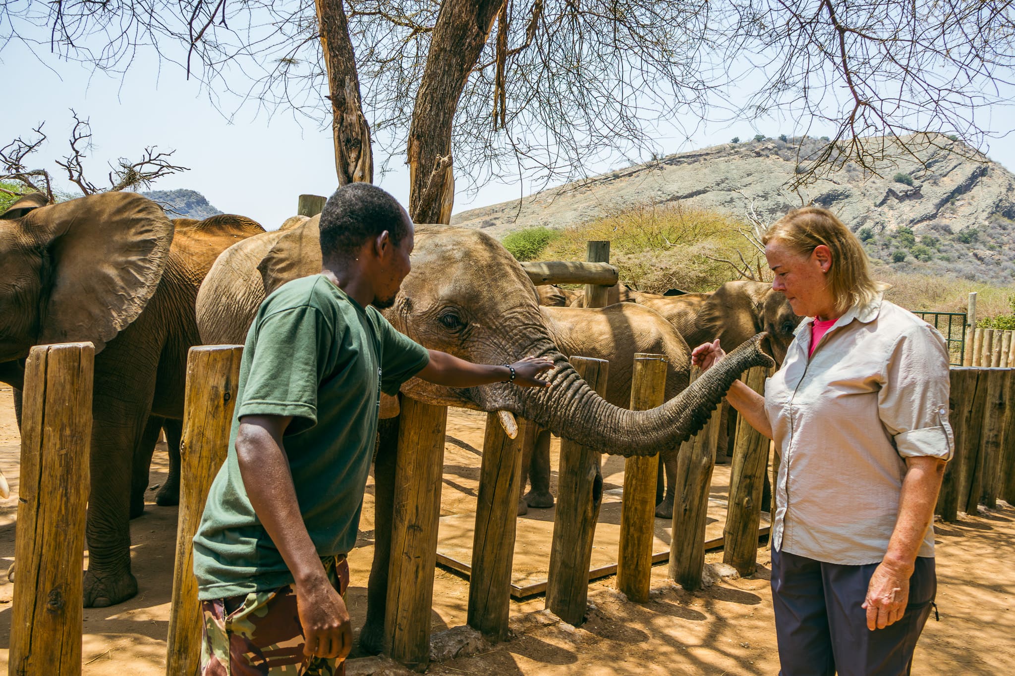 Saruni Basecamp News Reteti Elephant Sanctuary Mary and Mandela
