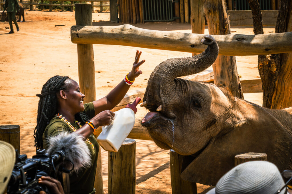 Saruni Basecamp Reteti Elephant Sanctuary Saruni Basecamp Reteti Elephant Sanctuary