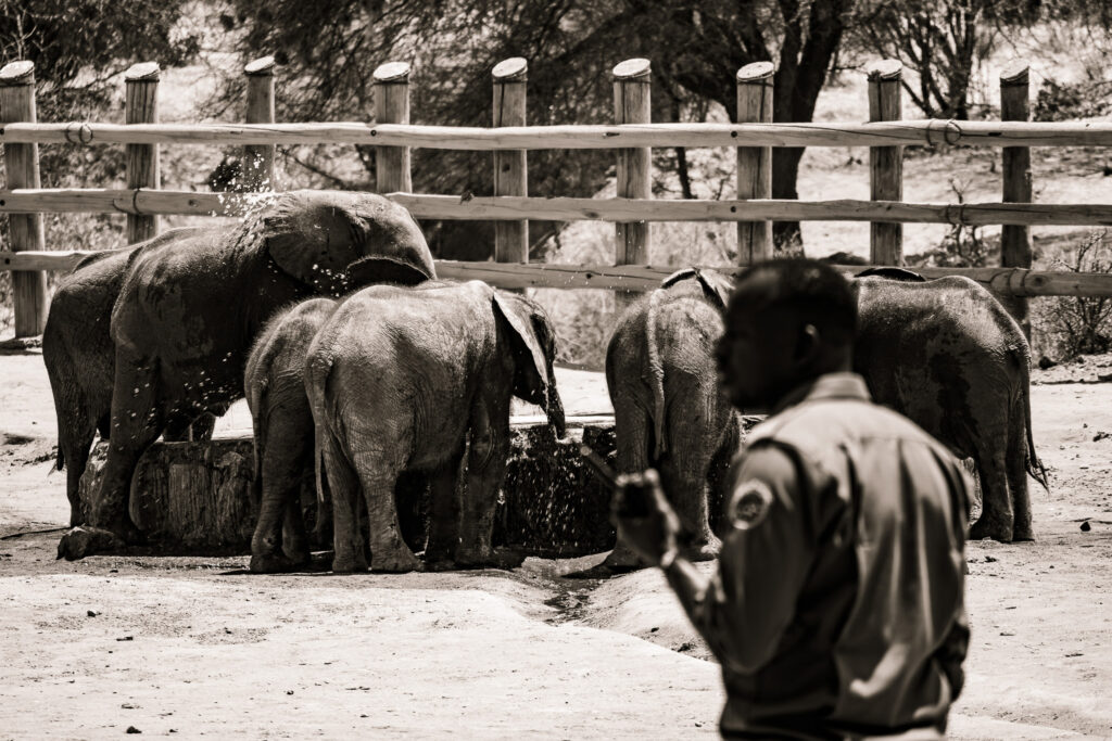 Saruni Basecamp Reteti Elephant Sanctuary Saruni Basecamp Reteti Elephant Sanctuary
