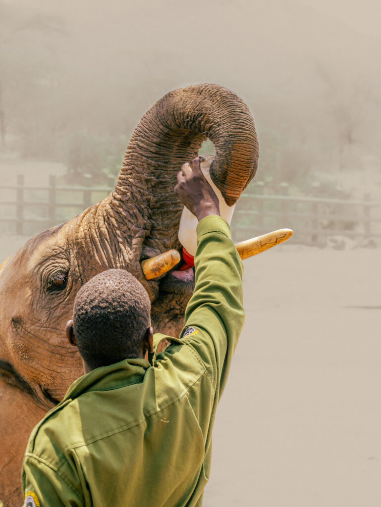 Saruni Basecamp Reteti Elephant Sanctuary Saruni Basecamp Reteti Elephant Sanctuary